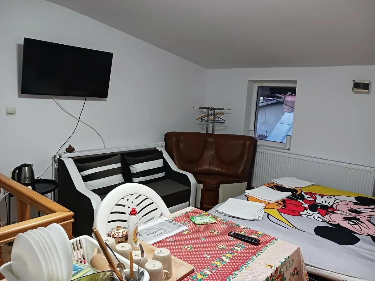 Сasa de vacaciones Villa Sara 3 Dormitoare Nu Primesc Santieristi Si Petrecareti Bucarest